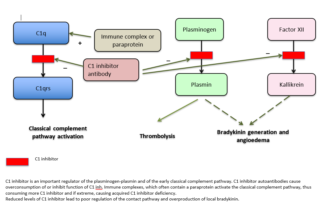 Angioedema Diagram Figure.1