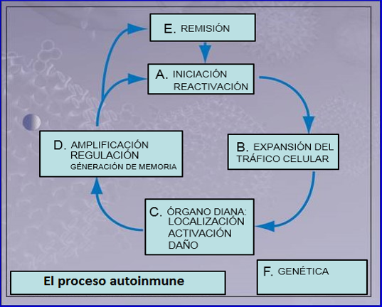 Autoimmunity Introduction Figure 