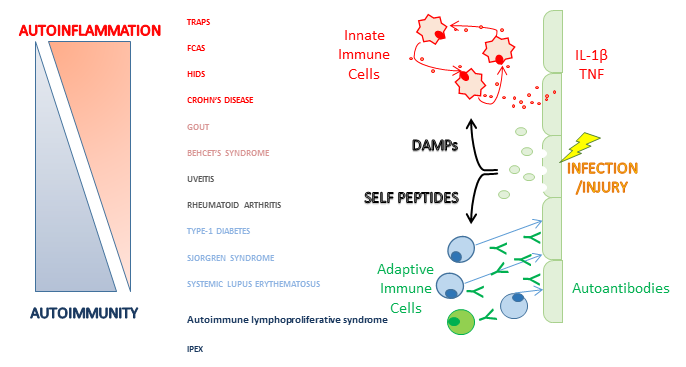 Autoinflammation Figure 1