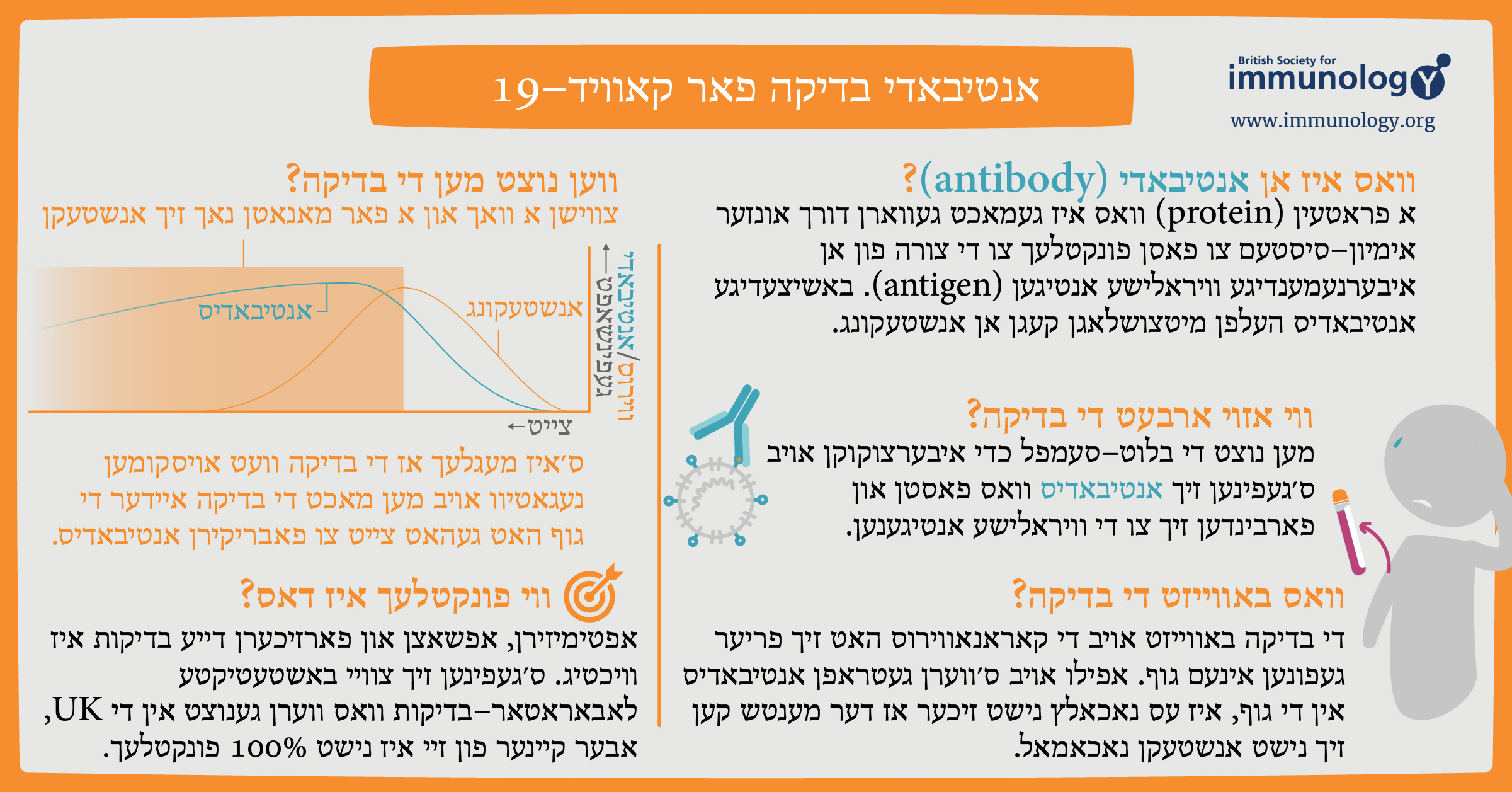 BSI Antibody Testing Yiddish 