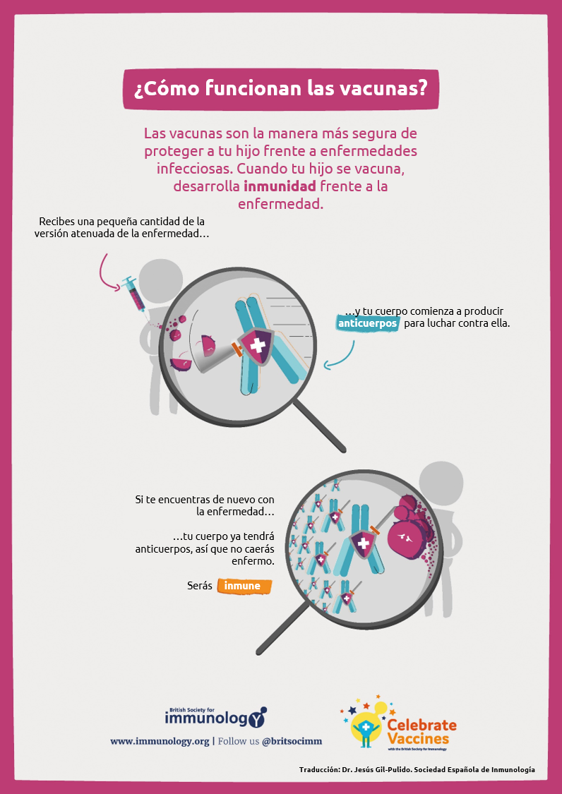 BSI How Vaccines Work Spanish