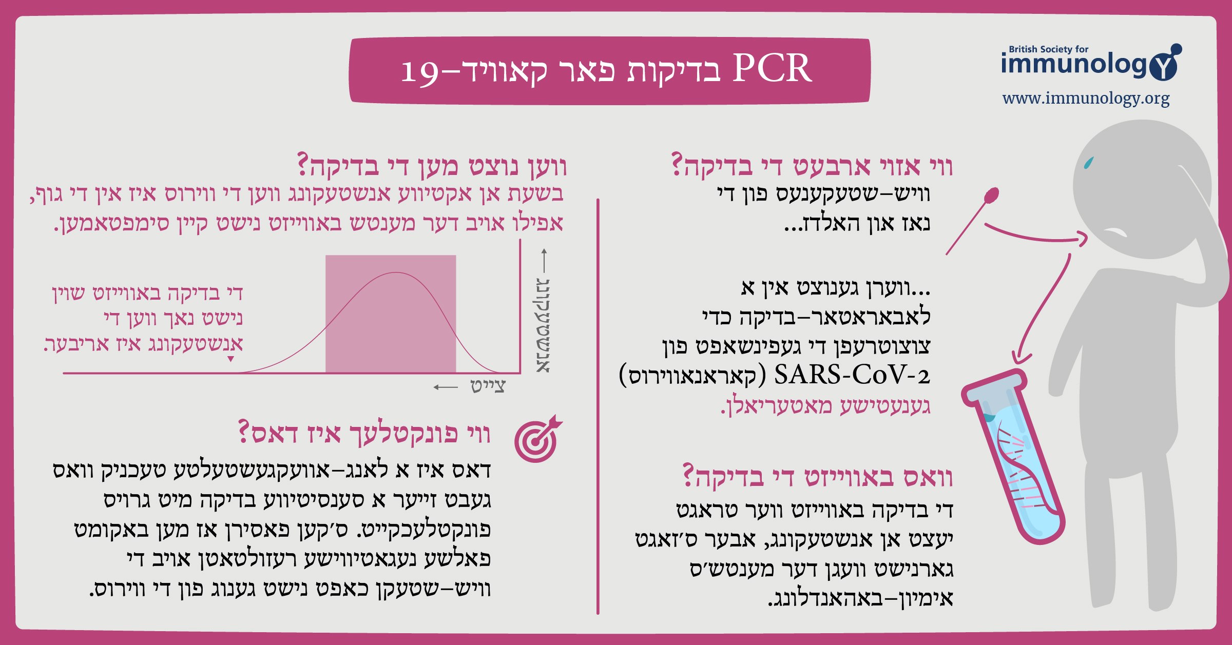 BSI PCR Testing Yiddish 