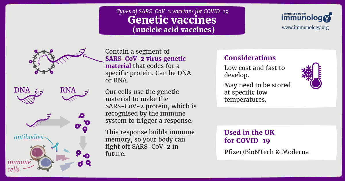 Genetic vaccines for COVID-19