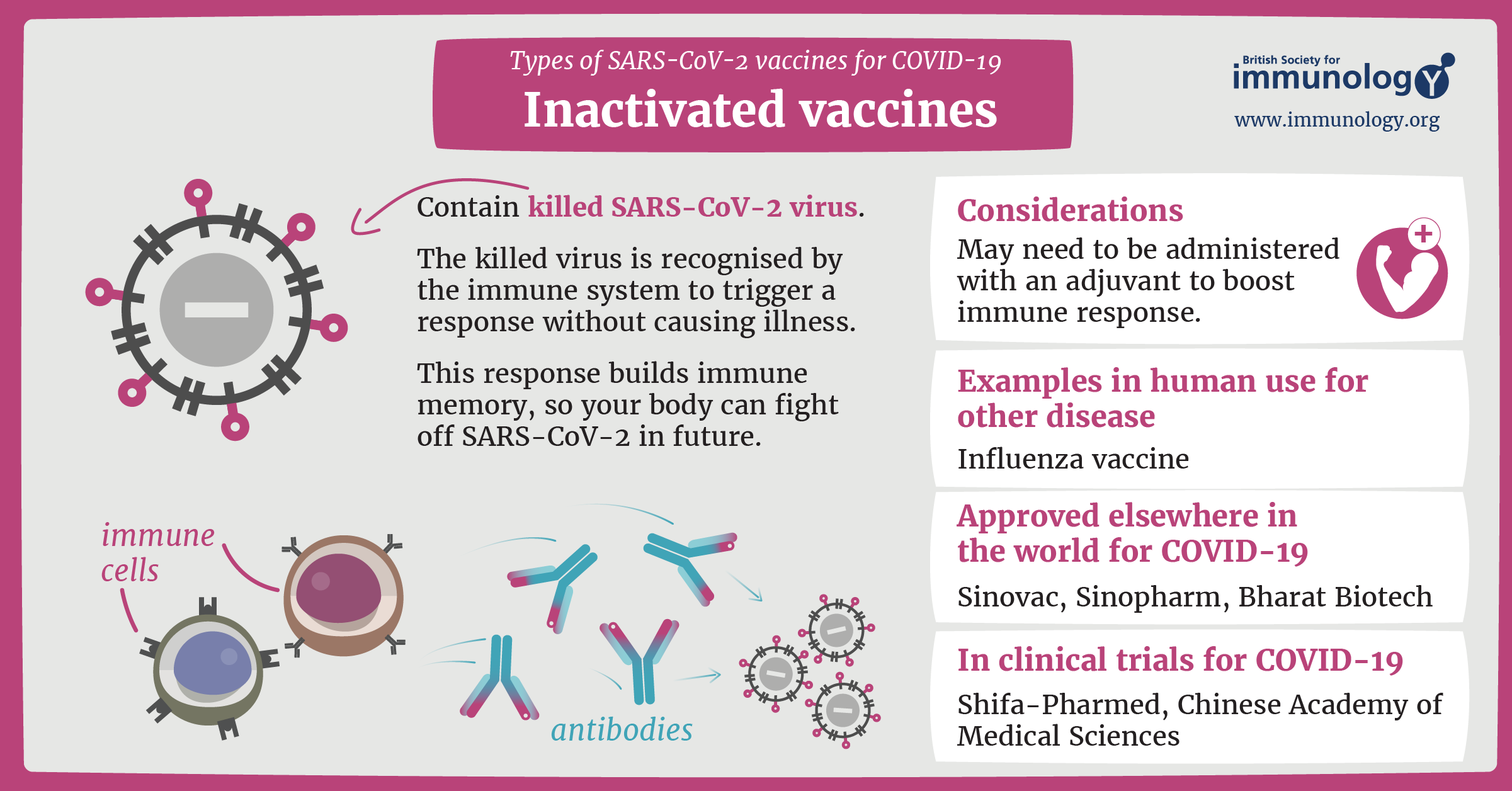 powerpoint presentation on covid 19 vaccines