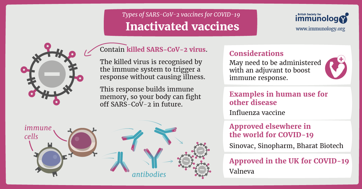 Вакцины sars. Inactivated vaccines. Типы вакцин. Vaccination Type. Types of vaccines.