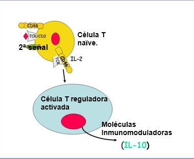 CD46 – role in multiple sclerosis Figure 1 