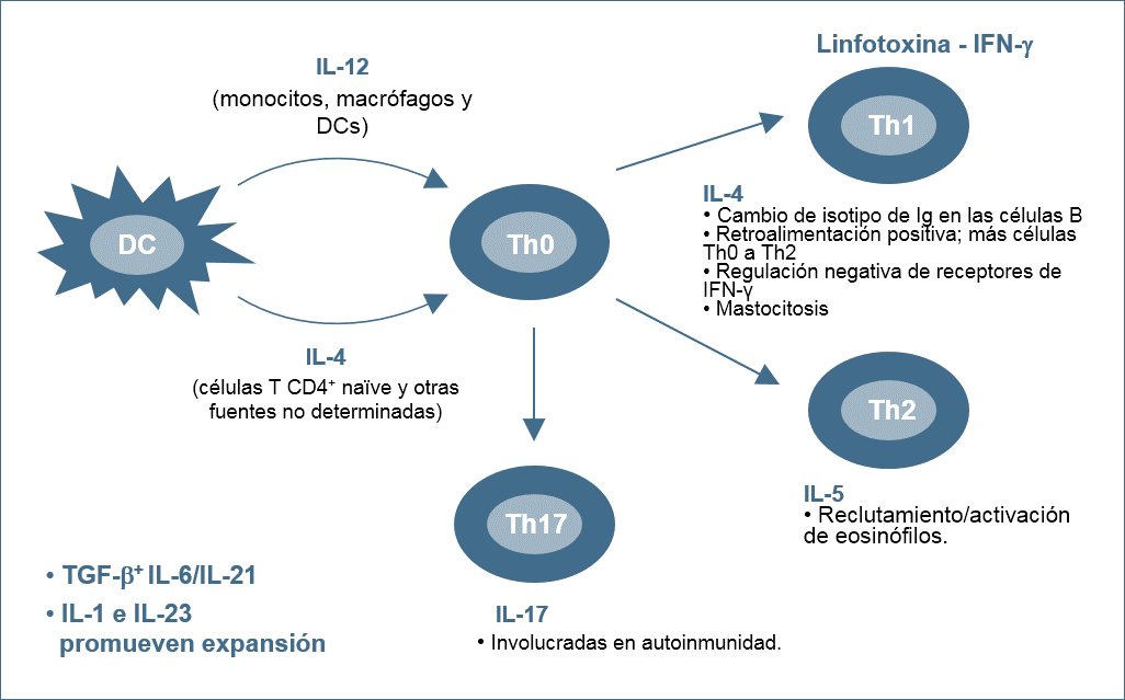 Celulas Figure 1