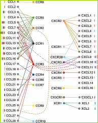 Chemokines Introduction Figure 2