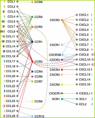 Chemokines Introduction Figure 2 