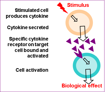 Cytokines Introduction Figure 1