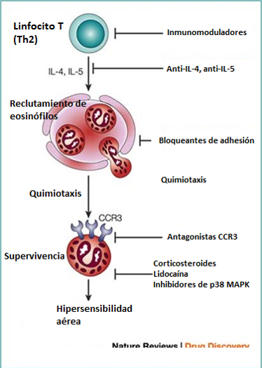 Eosinófilos Figura 2