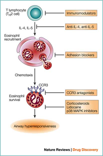 Eosinophils Figure 2