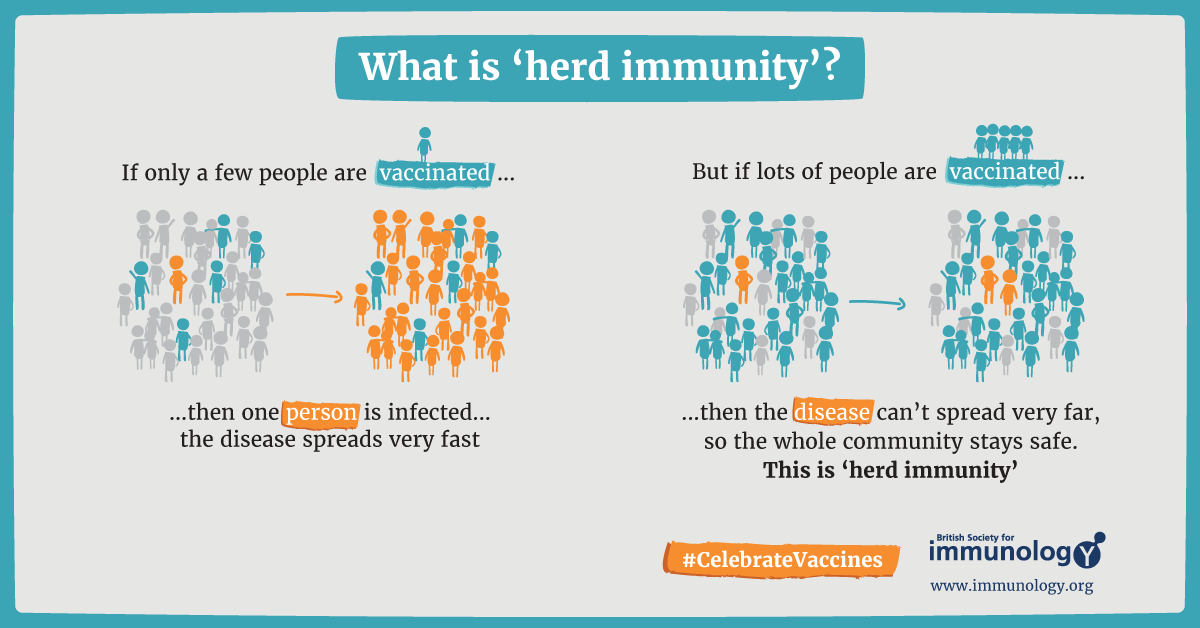 What is herd immunity 
