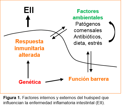 Enfermedad inflamatoria intestinal Figura 1