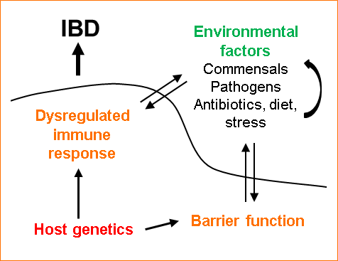 Inflammatory Bowel Disease Figure 1