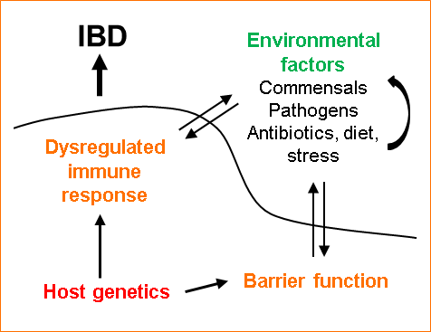 Genetic Disorders of Immune Regulation