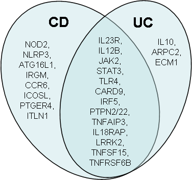 Inflammatory Bowel Disease Figure 2