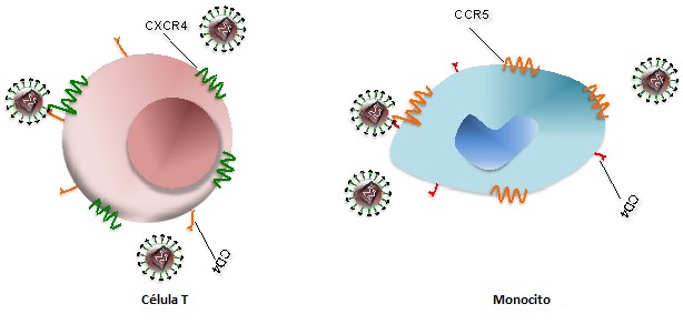 Human Immunodeficiency Virus Figure.1