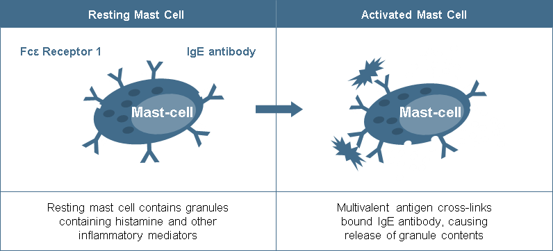 Figure 1. Mast Cell Activation