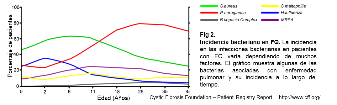 Microbial infection in cystic fibrosis Figura.2