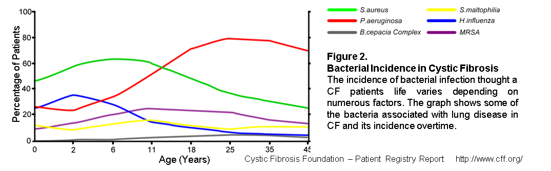 Microbial infection in cystic fibrosis Figure.2