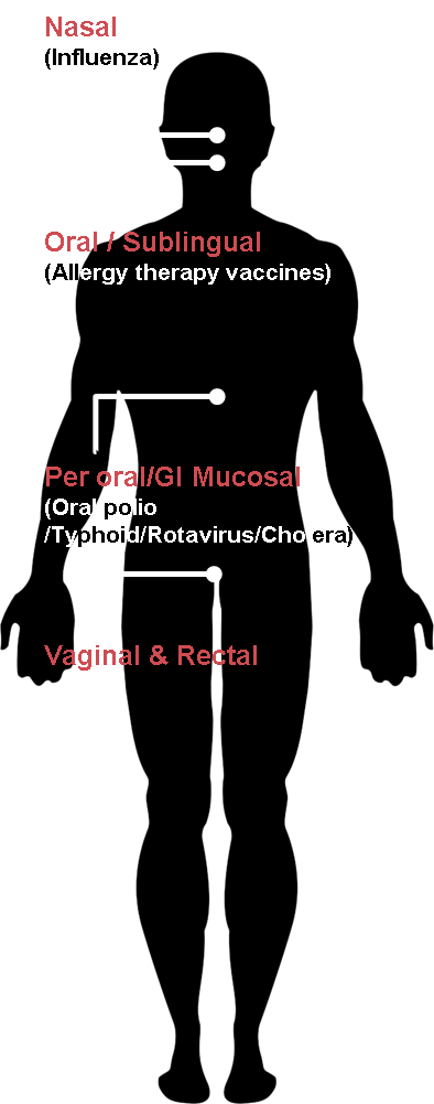 Mucosal Vaccination
