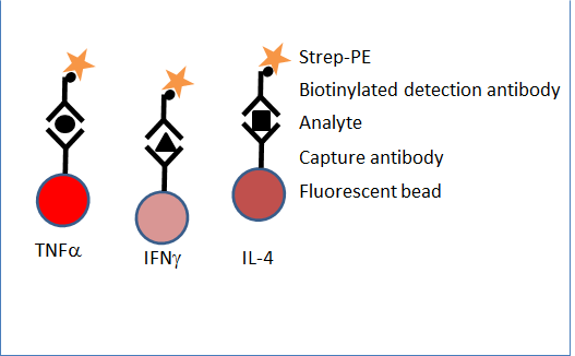 Multiplex analysis of cytokines Figure 1