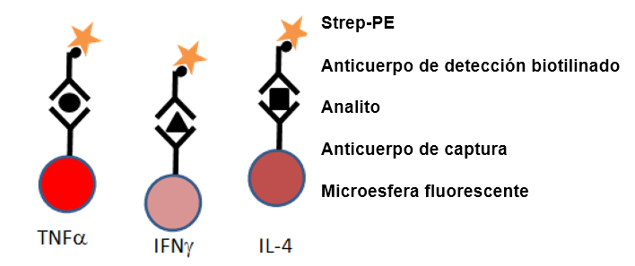 Multiplex analysis of cytokines Figure 1