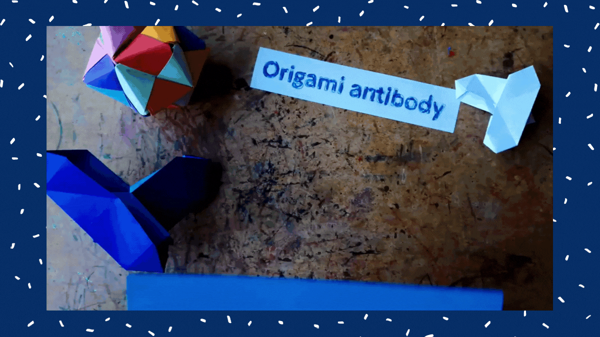 Origami Antibody Step One 