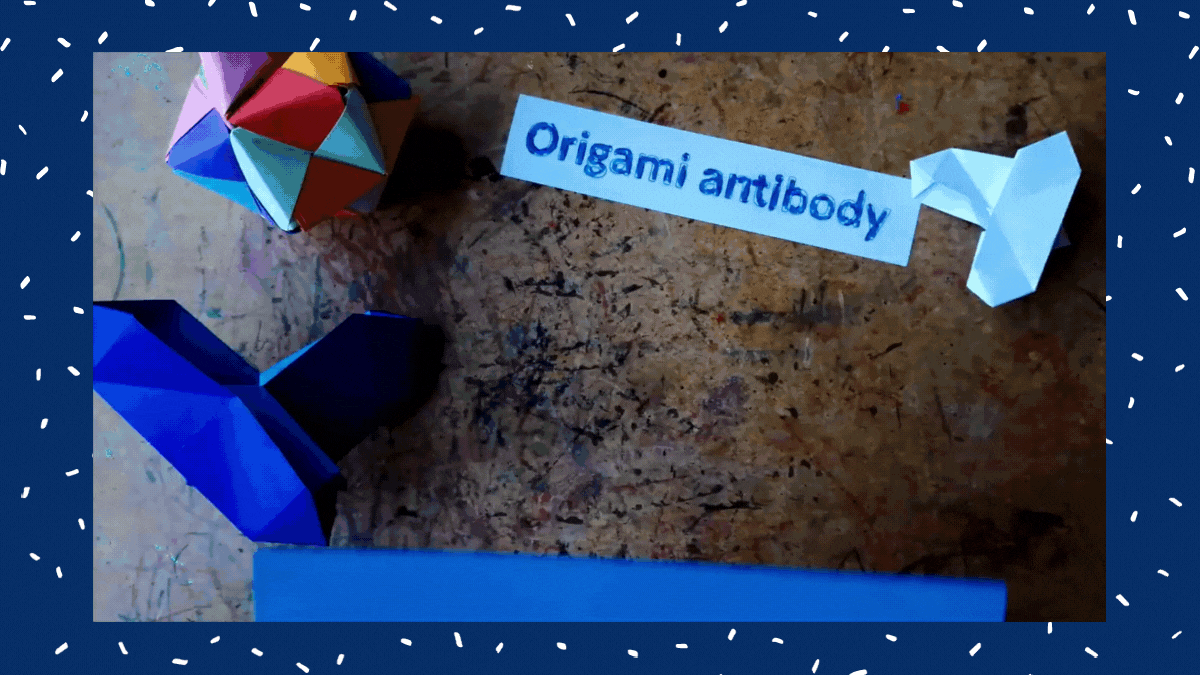 Origami Antibody Step One