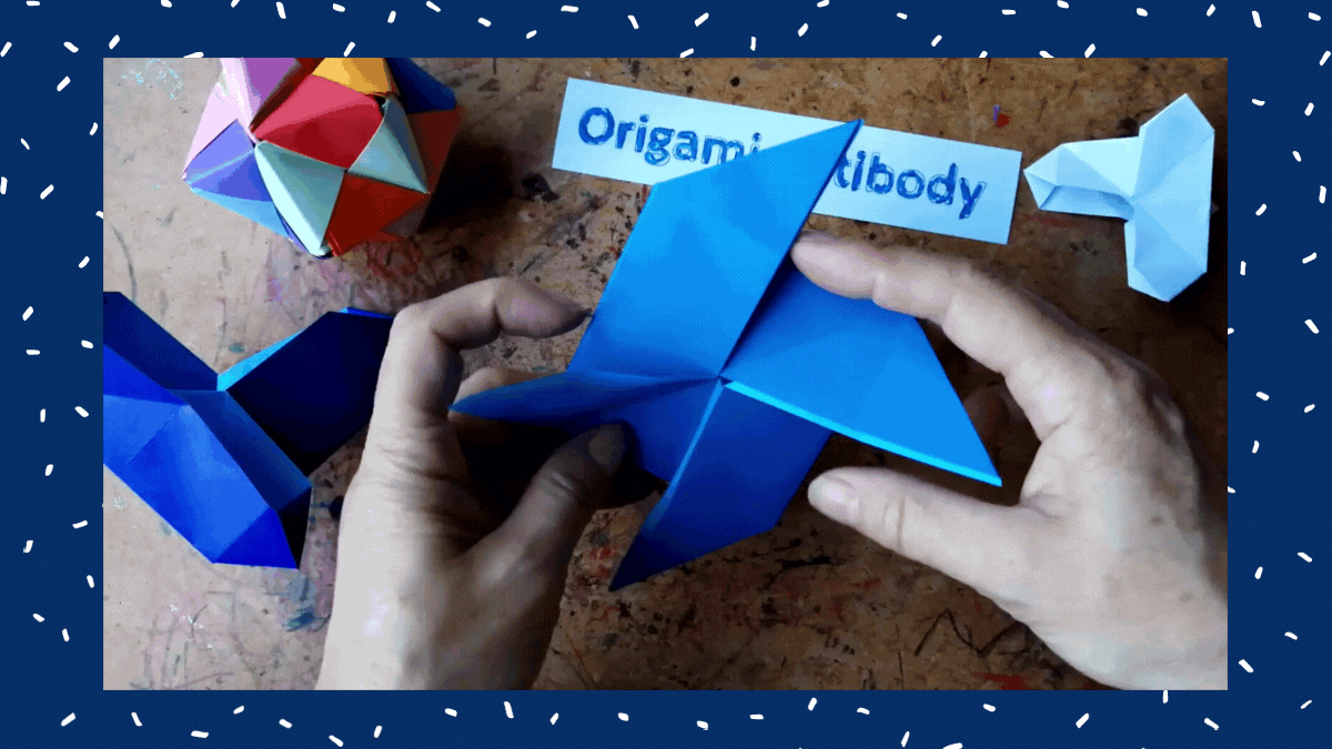Origami Antibody Step Five