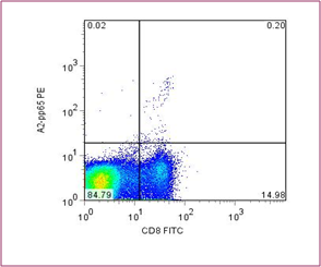 MHC tetramer production Figure 3 