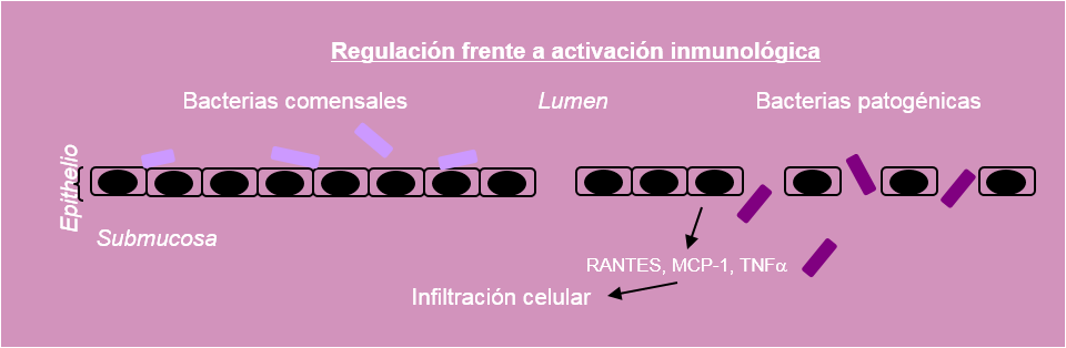 Regulación inmune Figura 2