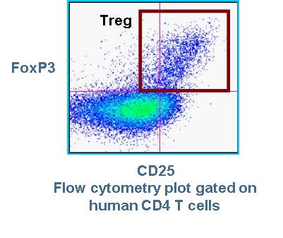 Tregs Figure 1