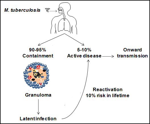 Tuberculosis Figure.1