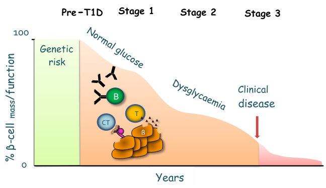 Type 1 Diabetes Figure 1