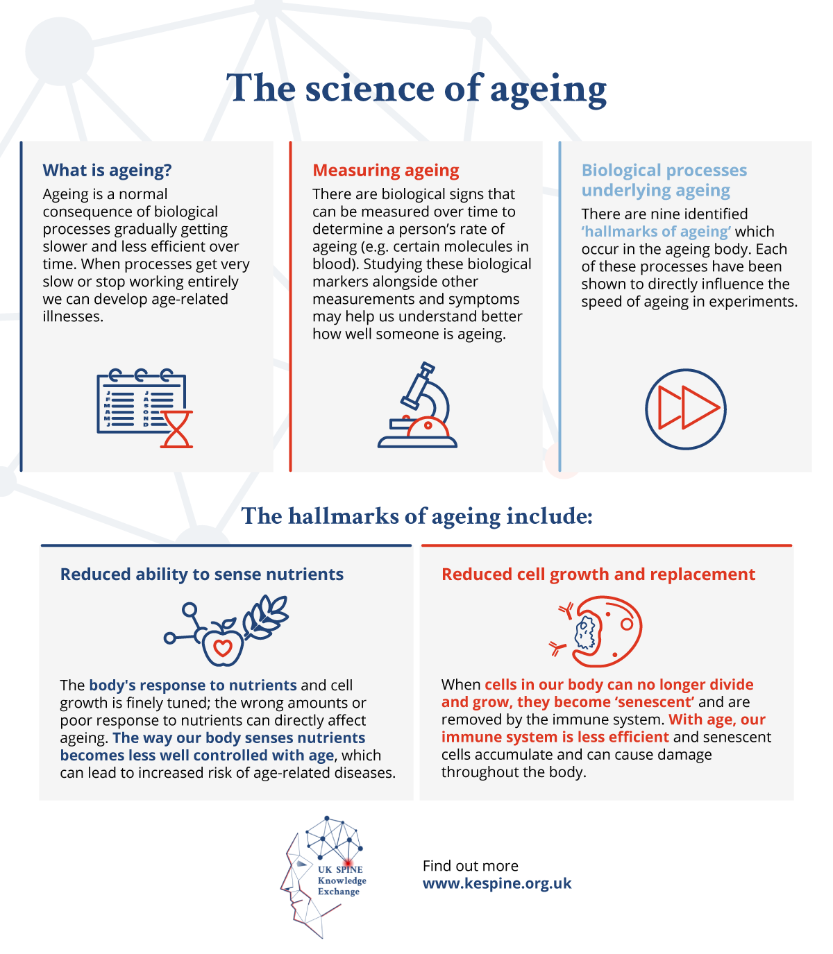 Infographic about the science of ageing