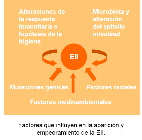 Ulcerative colitis and Trichuris Infection Figura 1.