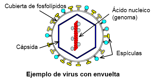 Viruses Introduction Figure- 1.