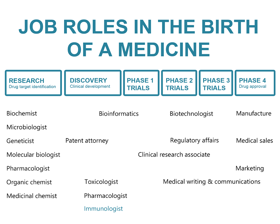 Job roles in the birth of a medicine