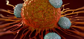 T cells attacking orange cancer cell