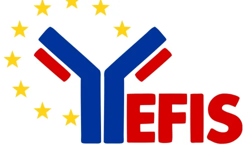 Y-EFIS logo
