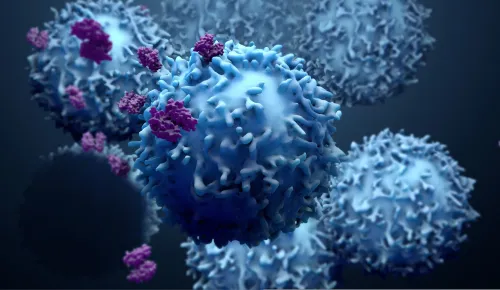 Immune cells with purple proteins attached