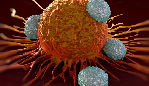 T cells attacking orange cancer cell