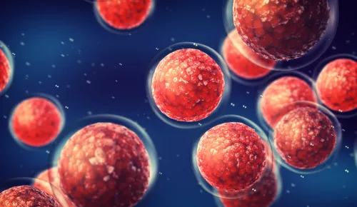 Immunosenescence cell graphic