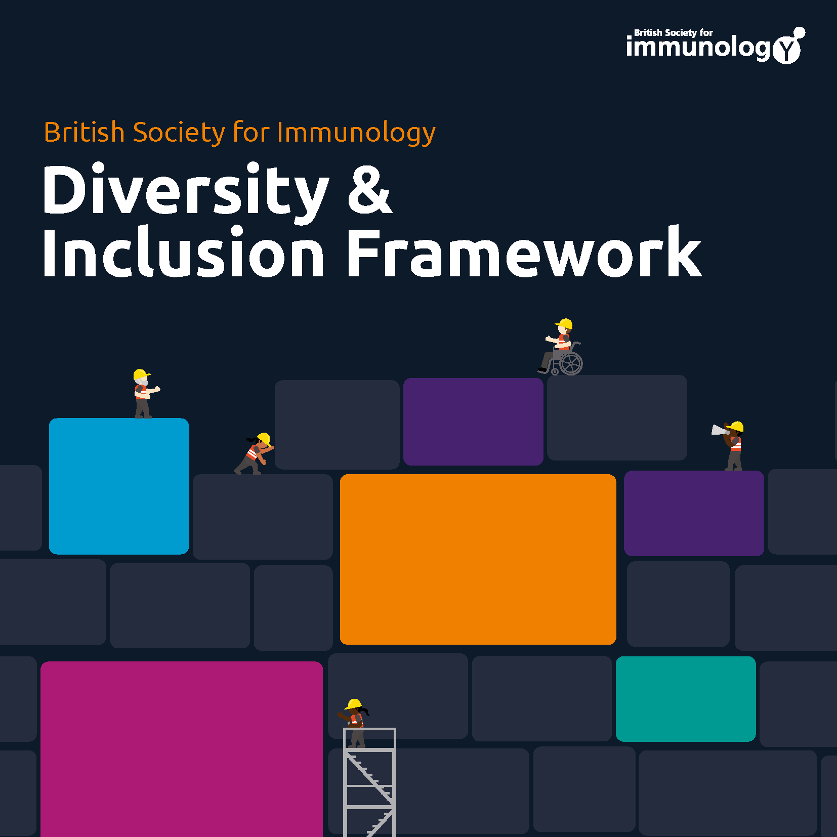 BSI Diversity Framework Cover 