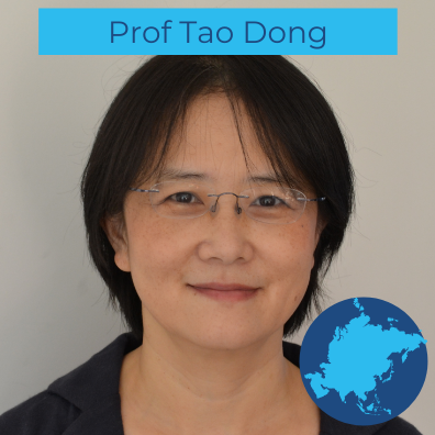 Prof Tao Dong