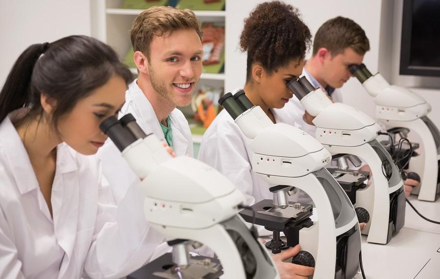 Students Working on Microscopes Undergrads