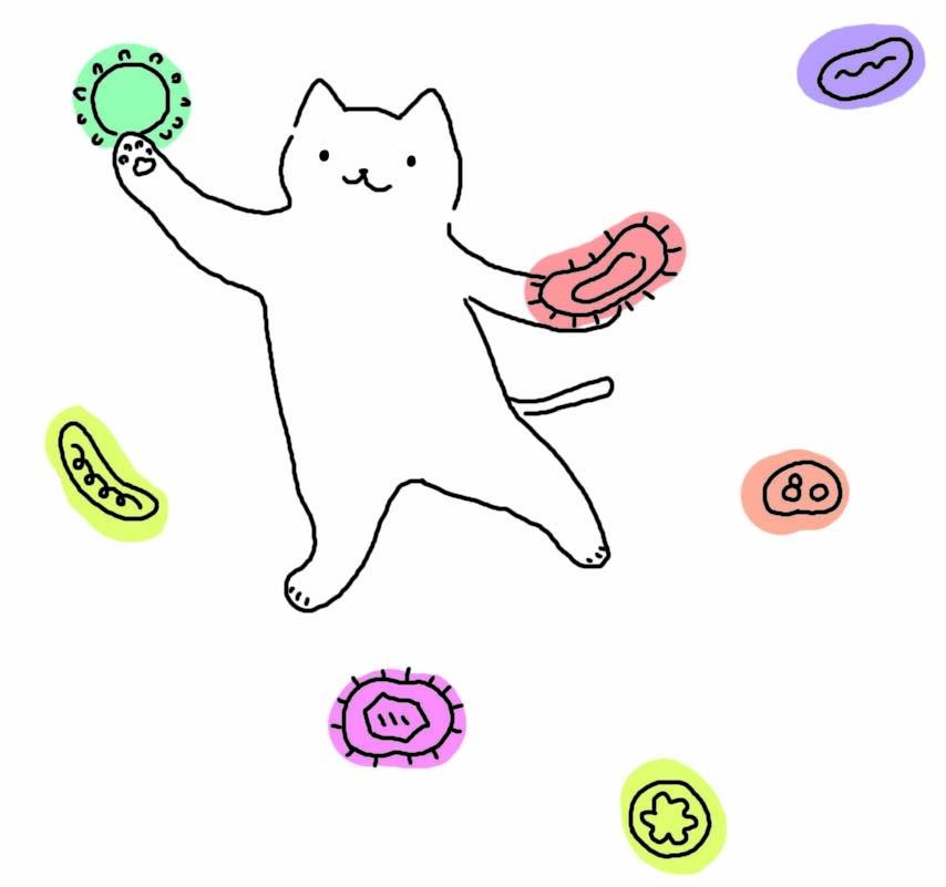 Amazing Immune System 2 Amazing Immune System 2