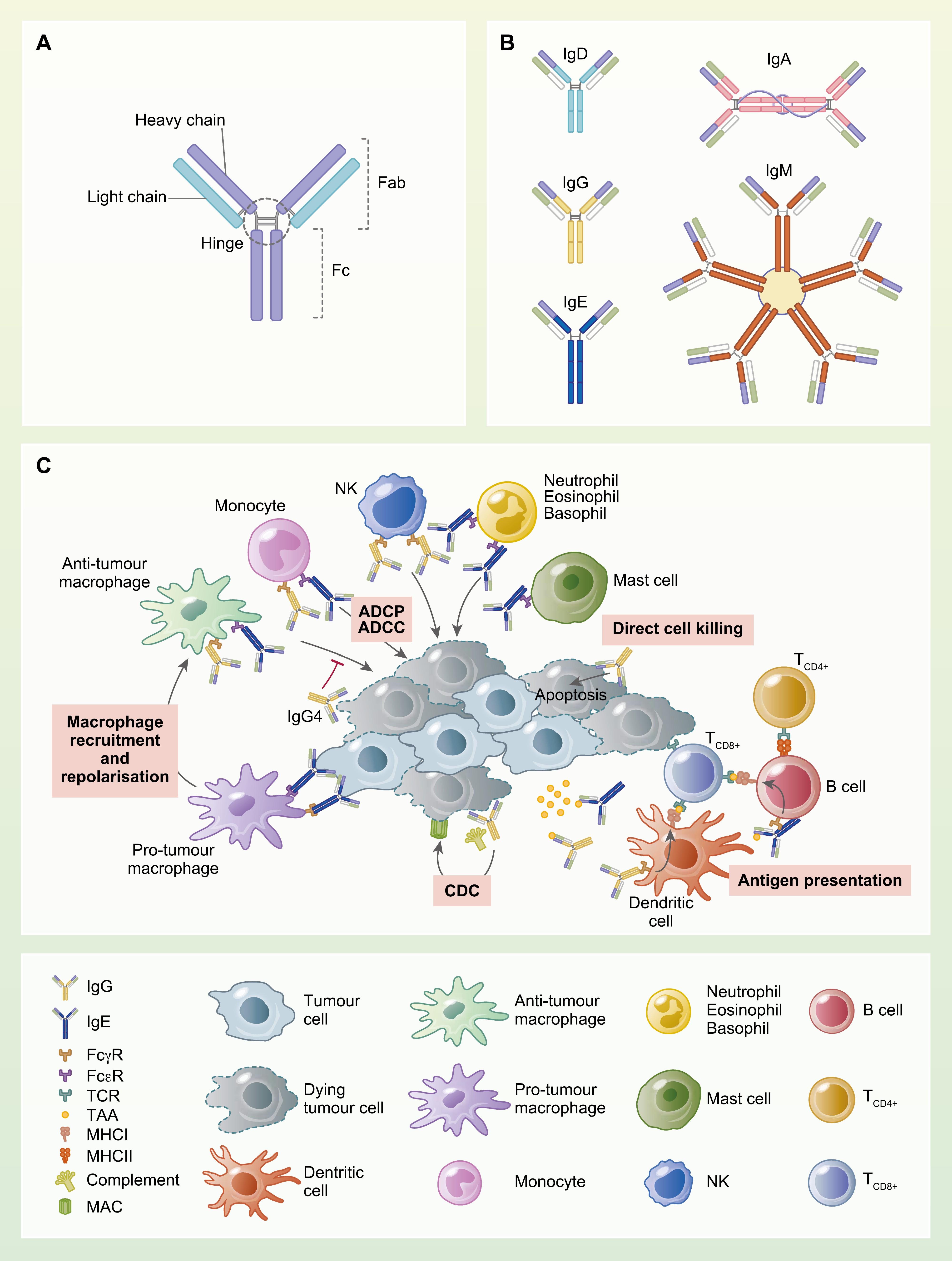 Figure from 'Antibodies as biomarkers for cancer risk: a systematic review'